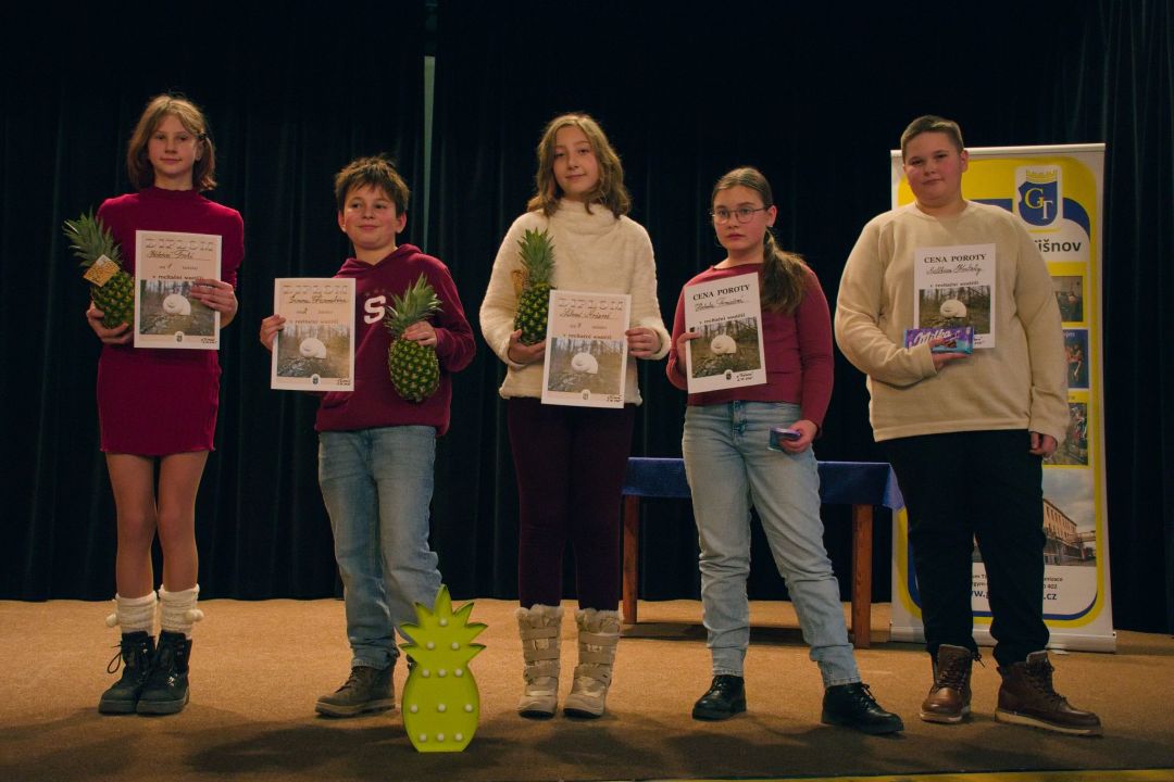 Ilustrační fotografie