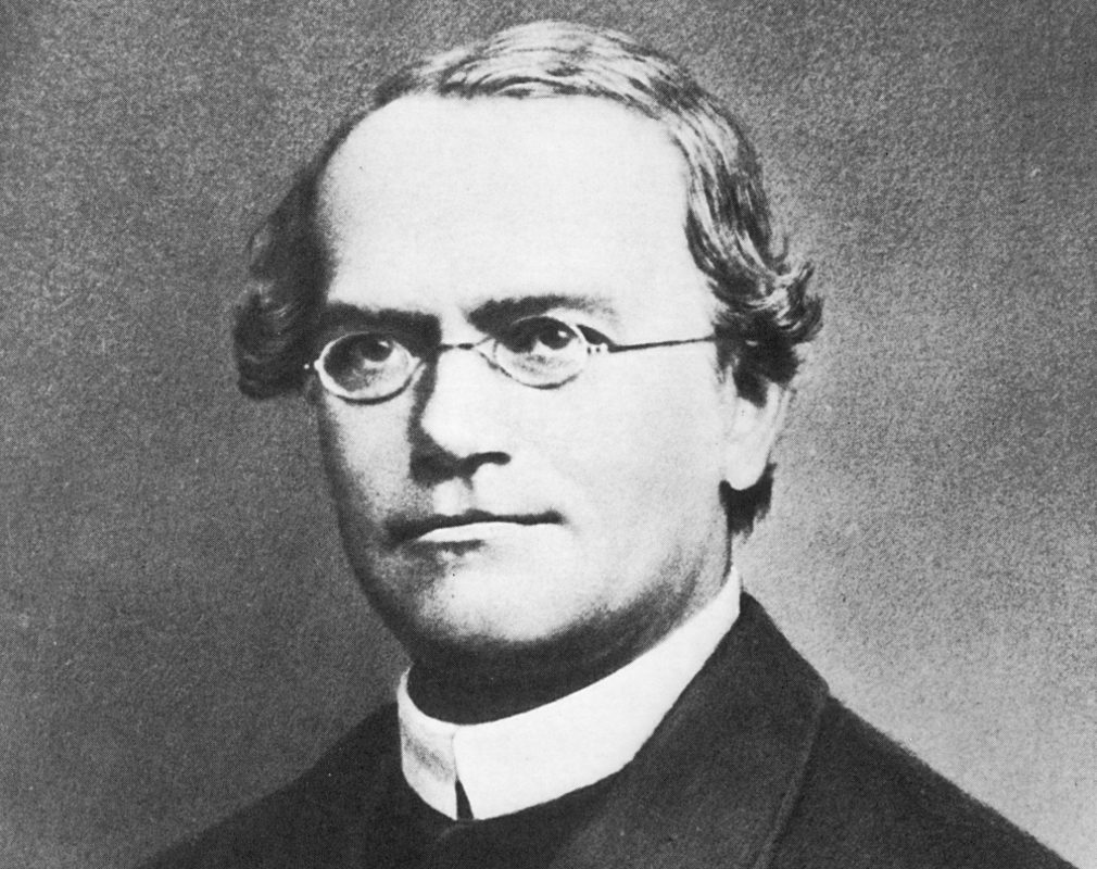 Gregor Johann Mendel