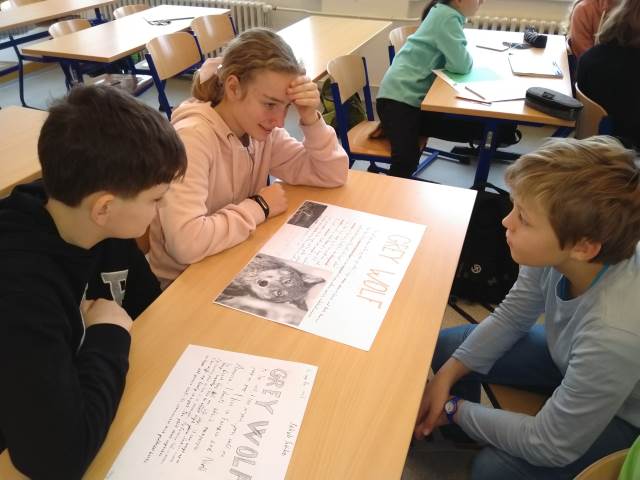 Projekt Animals