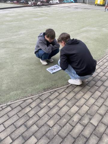 Nový volitelný předmět 