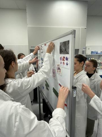 BIOSKOP - Krev esence života